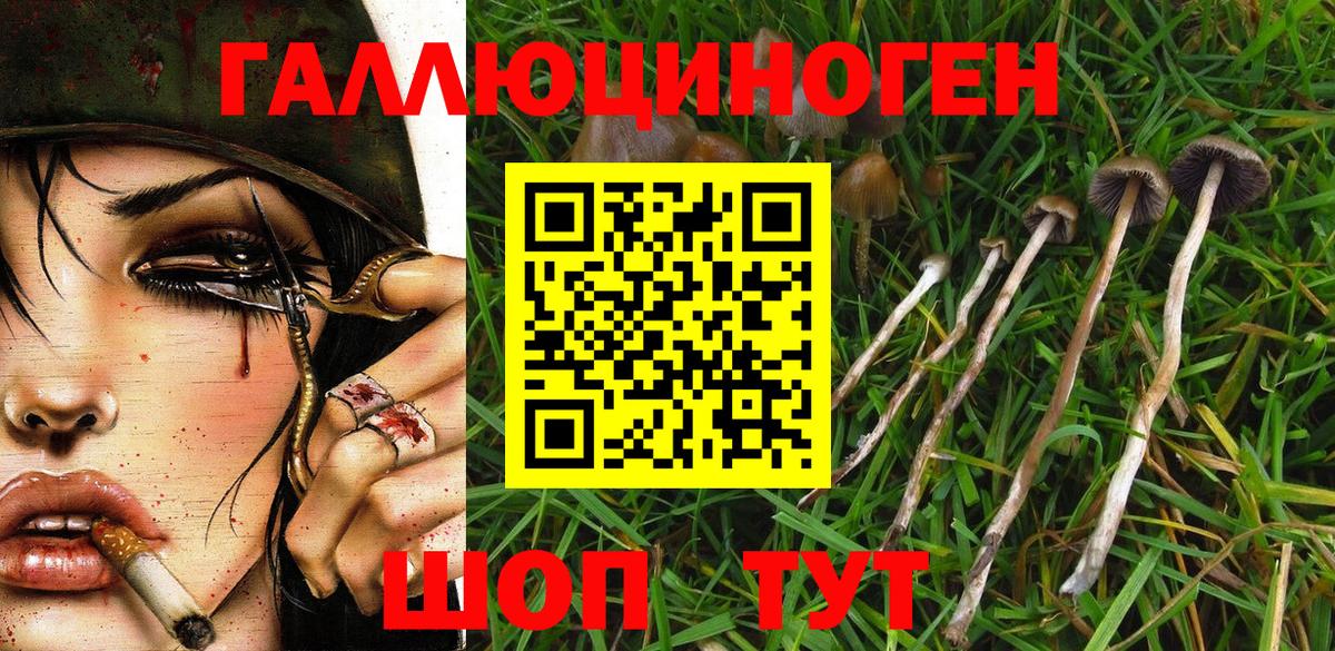Псилоцибиновые грибы Magic Shrooms  Вход с VPN  Соликамск 